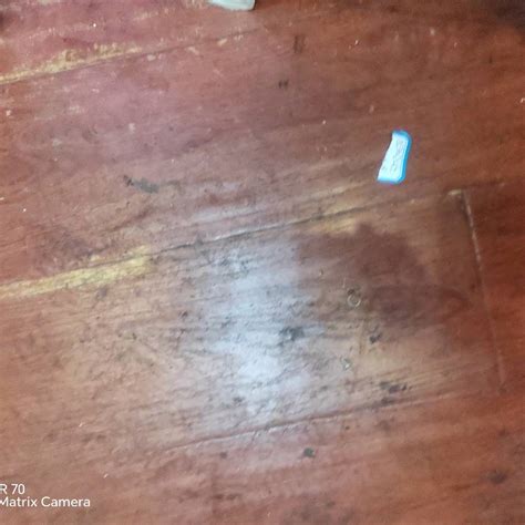 体育赛事赛程 九游体育